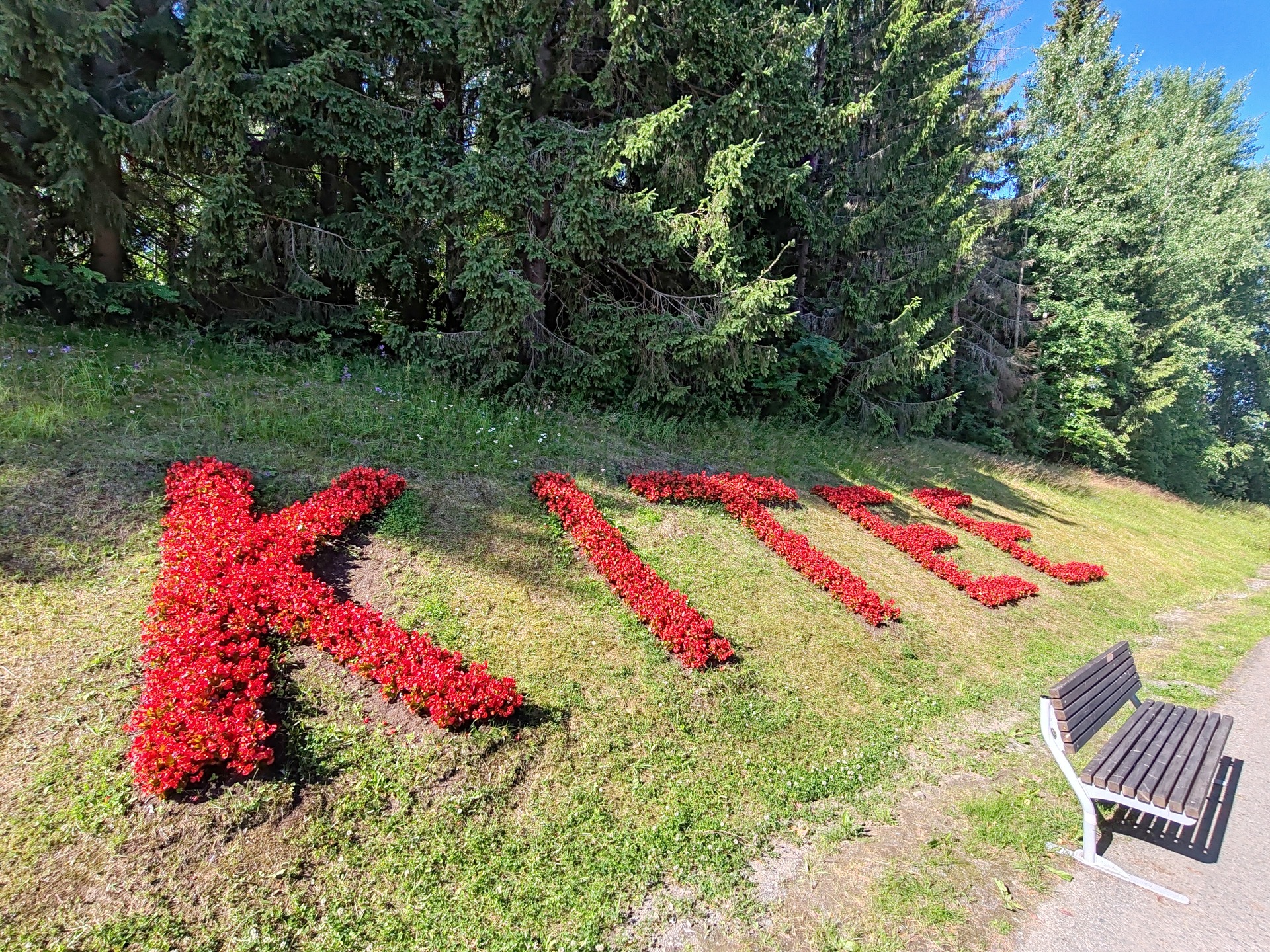 Työpaikat Kiteellä